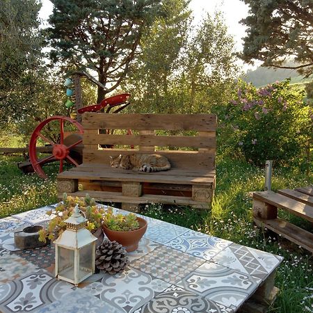 Agriturismo Santa Bruna ヴォルテッラ エクステリア 写真