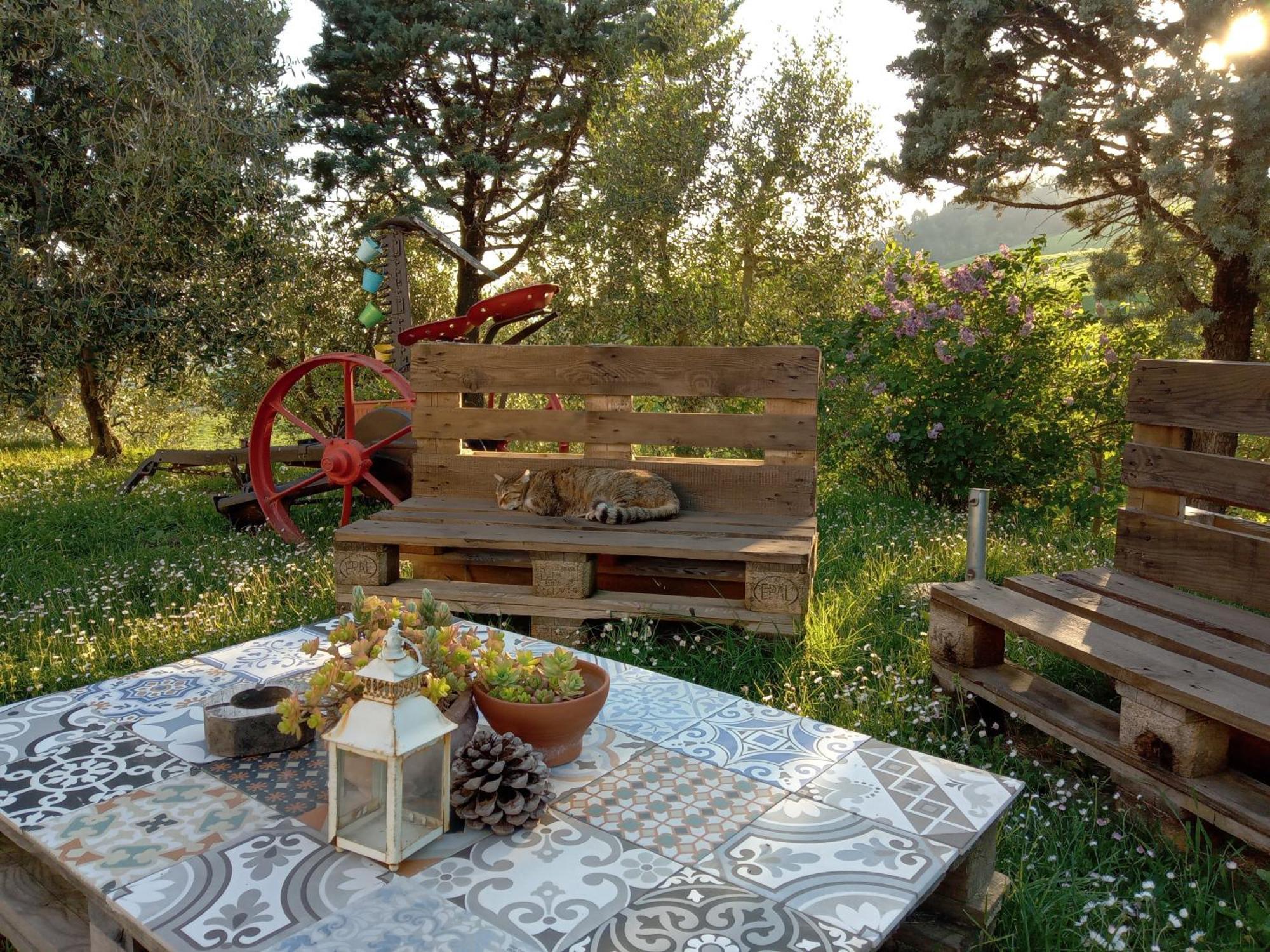 Agriturismo Santa Bruna ヴォルテッラ エクステリア 写真
