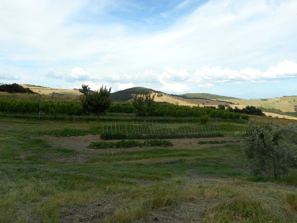Agriturismo Santa Bruna ヴォルテッラ エクステリア 写真