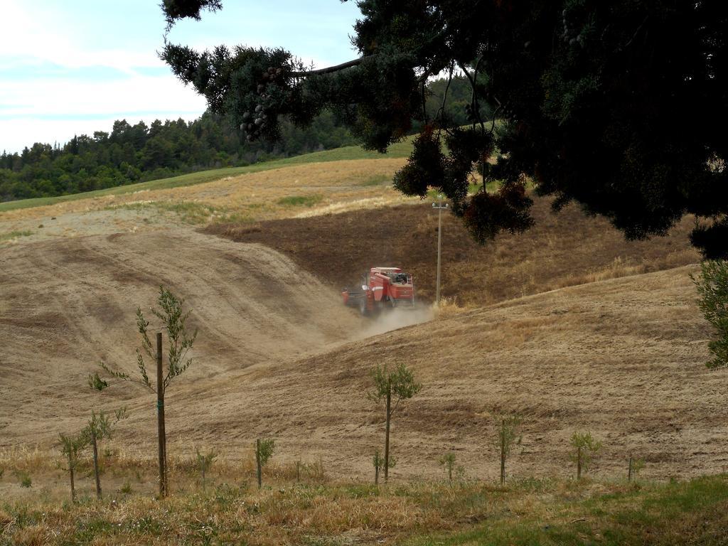 Agriturismo Santa Bruna ヴォルテッラ エクステリア 写真