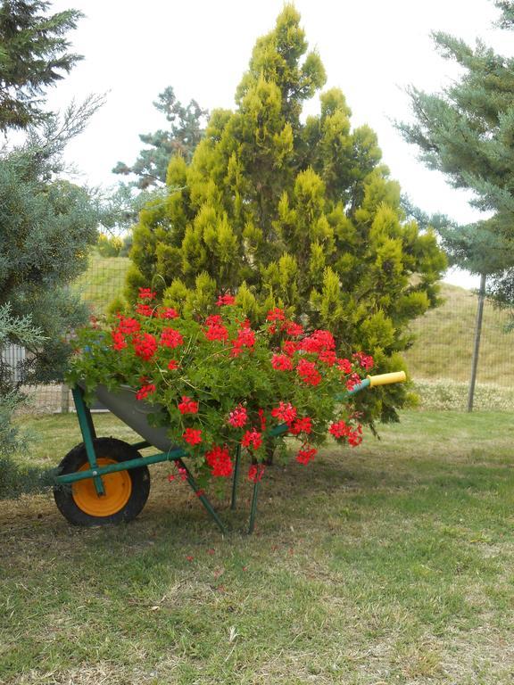 Agriturismo Santa Bruna ヴォルテッラ エクステリア 写真