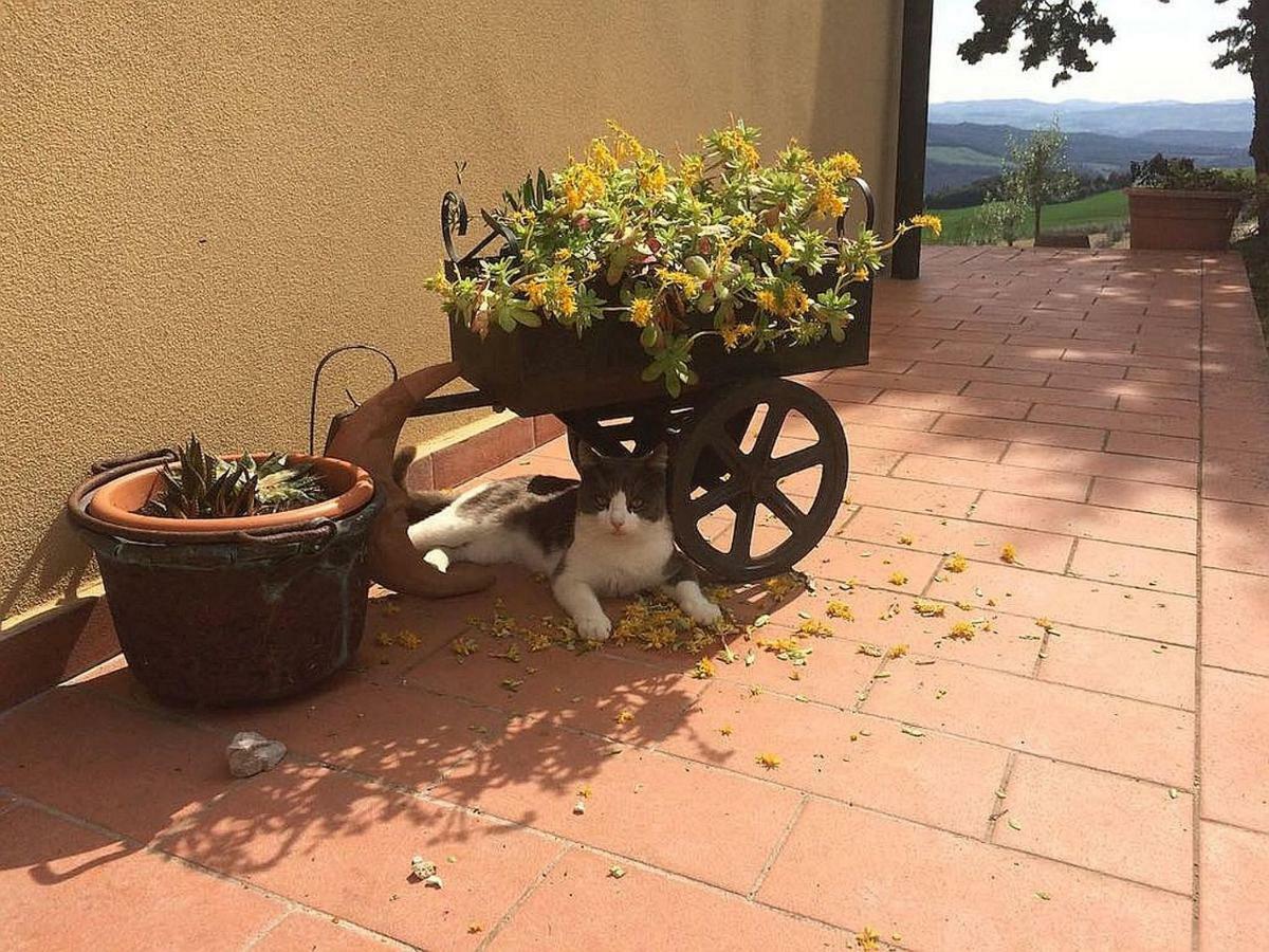 Agriturismo Santa Bruna ヴォルテッラ エクステリア 写真