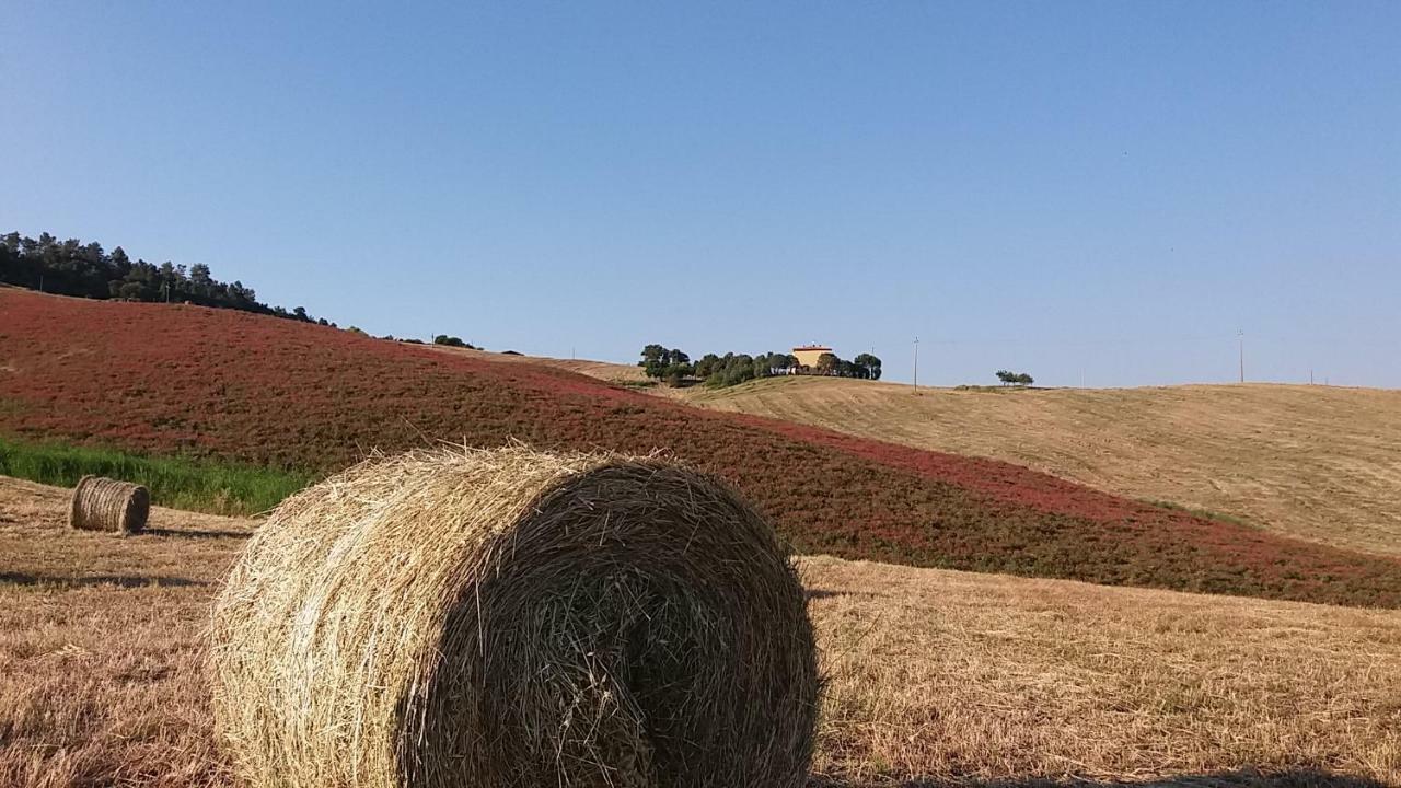 Agriturismo Santa Bruna ヴォルテッラ エクステリア 写真