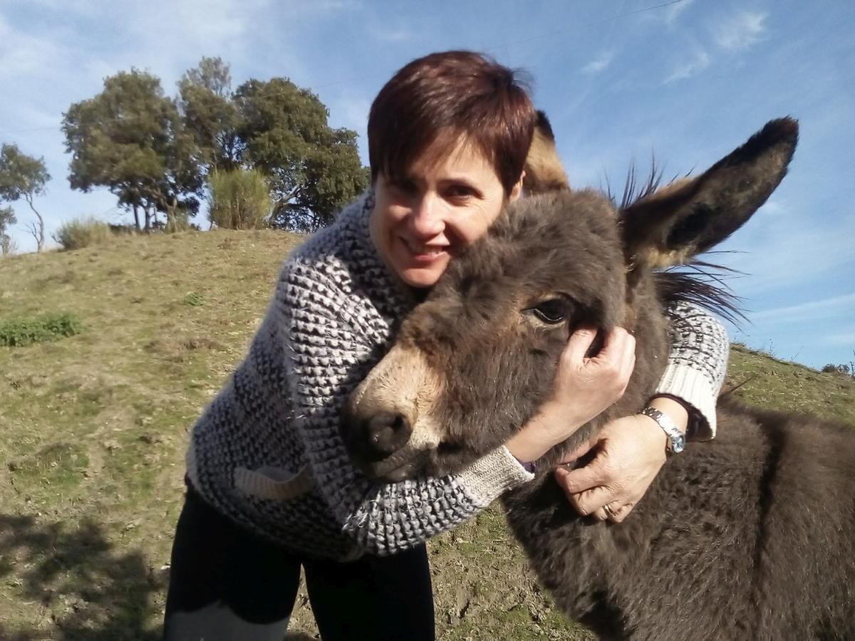 Agriturismo Santa Bruna ヴォルテッラ エクステリア 写真